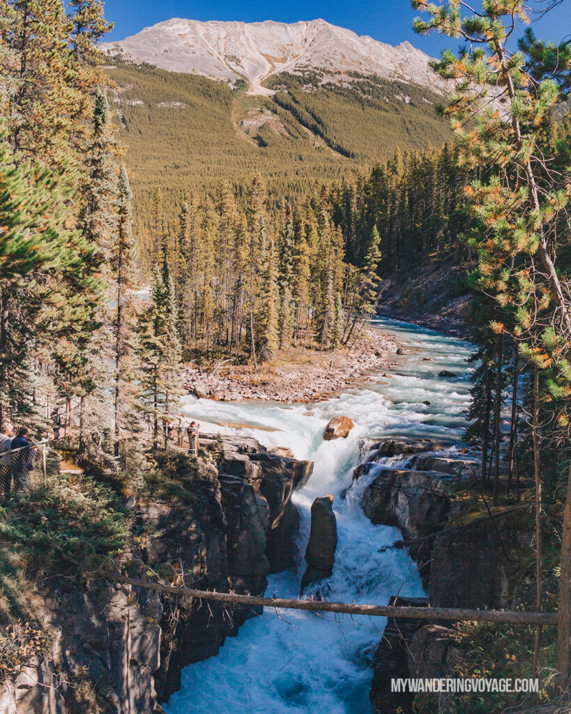 Sunwapta Falls | Top things to see in Jasper and Banff | My Wandering Voyage
