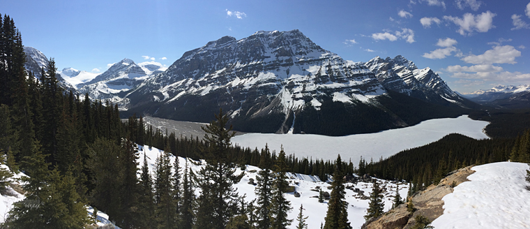 Peyto Lake, Alberta - Fire and Ice: A Canadian Road Trip | My Wandering Voyage travel blog
