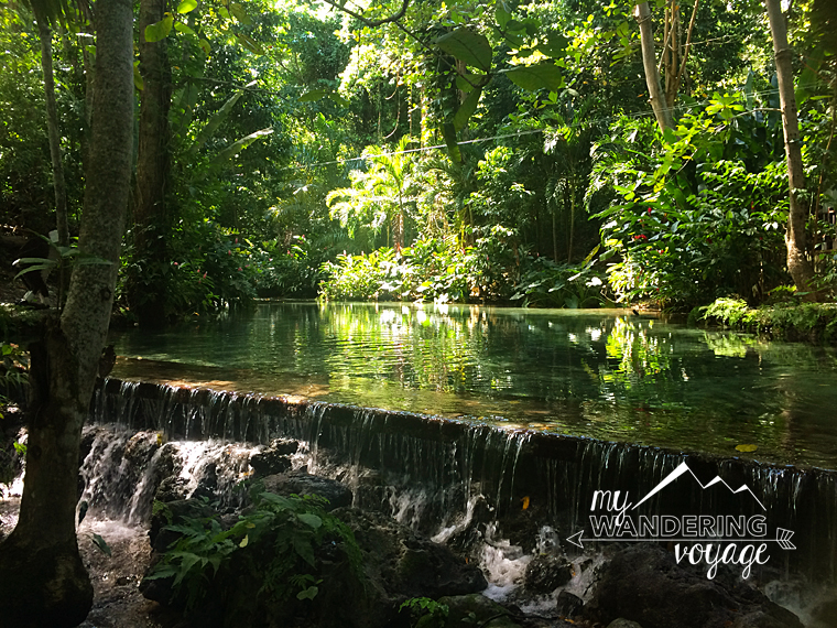 clear creek in Jamaica rainforest