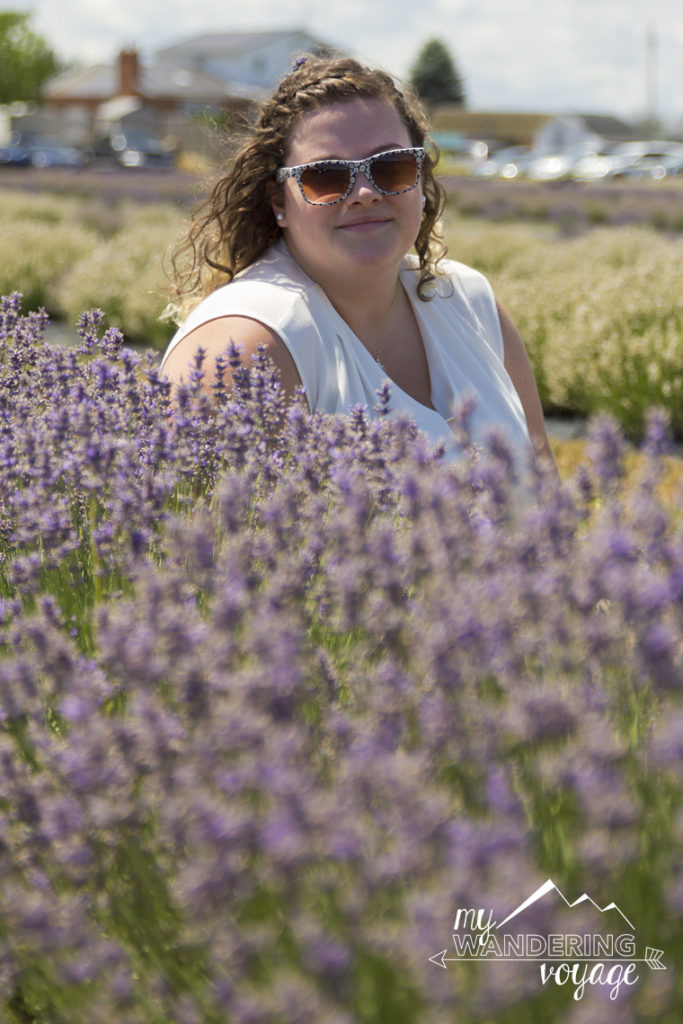 frolic in the lavender fields