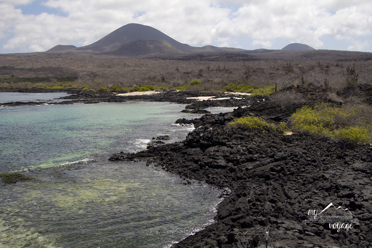 Floreana Island, Galapagos Islands | My Wandering Voyage travel blog