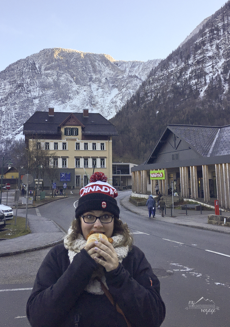 Schnitzel in Austria | My Wandering Voyage travel blog