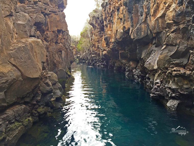 Las Grietas swimming in the Galapagos | My Wandering Voyage travel blog