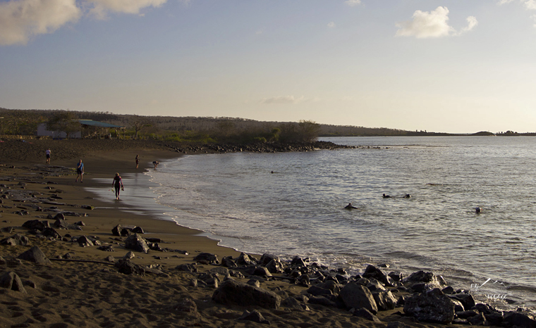 Playa Negra sunsets Galapagos Islands | My Wandering Voyage Travel Blog