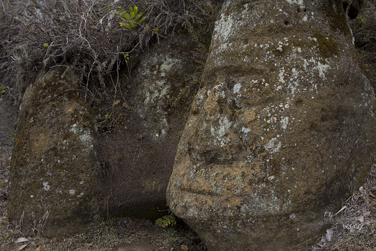 Carved Face, Floreana Island, Galapagos | My Wandering Voyage travel blog