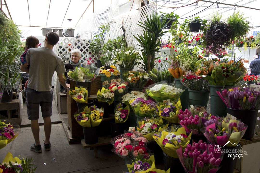 Flowers at the Atwater Market in Montreal - 14 essential experiences for a weekend in Montreal, Quebec, Canada | My Wandering Voyage travel blog