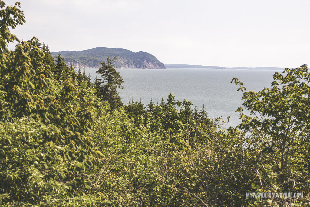 Discover Fundy National Park - 10 treasures to discover in New Brunswick, Canada. From rugged coasts to sandy beaches to French heritage and fresh seafood, New Brunswick has it all | My Wandering Voyage