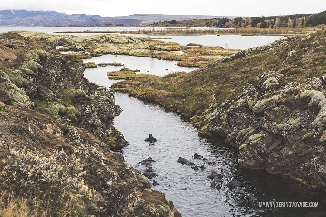 Silfra - The Golden Circle is a well-known destination in Iceland, and it’s easy to see why. The Golden Circle is part of a road loop that can be seen in a day from Reykjavik and hits some of Iceland’s most famous landmarks | My Wandering Voyage travel blog