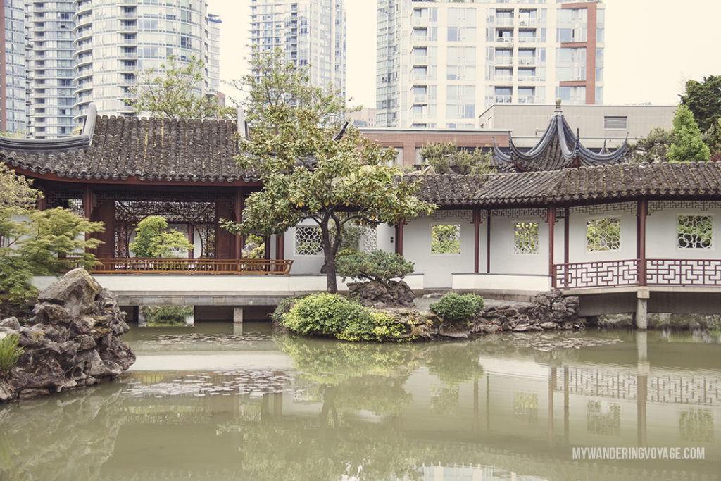 Classical Chinese Gardens | Get out and explore Beautiful British Columbia. From the coastal rainforests to the summit of mountains to cities like Vancouver and Victoria, there is so much to discover in British Columbia. Here’s everything you need to see in 10 days in British Columbia | My Wandering Voyage travel blog