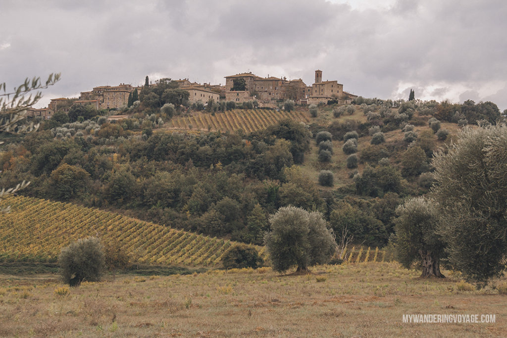 Tuscany | Find the best Tuscan villages to visit from Rome in a day. Tuscany is known for its rolling hills, its vibrant cultural cities, its picturesque hilltop towns, and for the food and wine that people flock here for. | My Wandering Voyage #travel blog #Tuscany #Italy #Europe