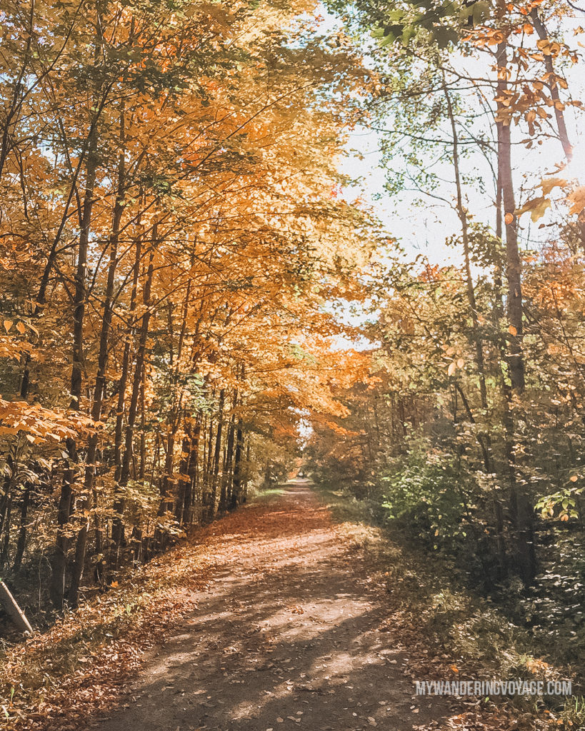 Elora Cataract Trail in the Fall | The ultimate list of things to do in Elora, Ontario. Visit Elora for its small town charm, natural beauty and one-of-a-kind shops and restaurants | My Wandering Voyage travel blog