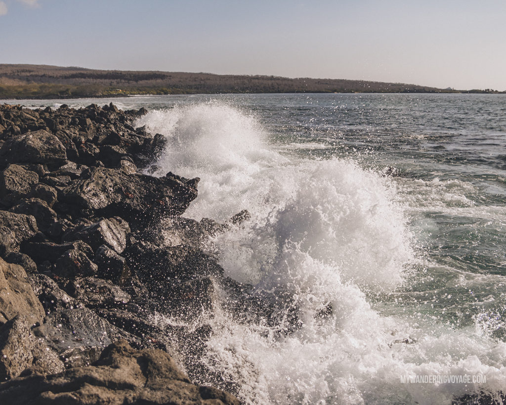 waves crashing on the beach | What to pack for the Galapagos Islands. Find out what to bring, what to leave at home, when the best time to visit the Galapagos Islands is, and other tips in this Galapagos packing list. | My Wandering Voyage travel blog #travel #galapagos #galapagosislands #packing list