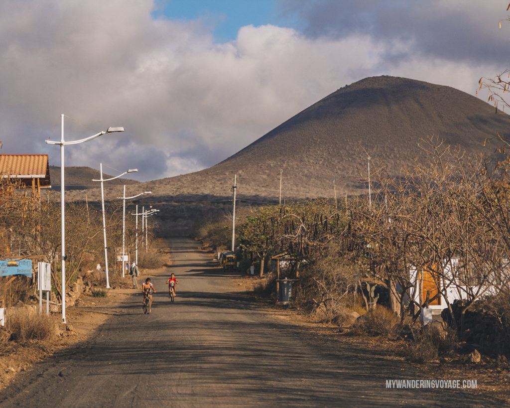 Small town on Floreana Island | What to pack for the Galapagos Islands. Find out what to bring, what to leave at home, when the best time to visit the Galapagos Islands is, and other tips in this Galapagos packing list. | My Wandering Voyage travel blog #travel #galapagos #galapagosislands #packing list