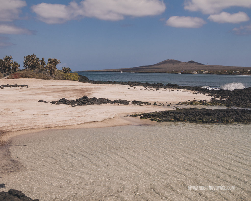 Floreana beach | A trip to the Galapagos Islands will be unforgettable, and with these Galapagos Islands travel tips, you’ll be sure to have a worry-free trip from start to finish. | My Wandering Voyage travel blog #galapagos #galapagosislands #travel #traveltips #Ecuador #southamerica