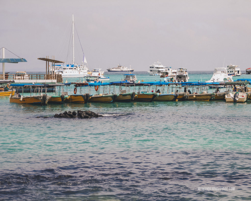 Water taxis | A trip to the Galapagos Islands will be unforgettable, and with these Galapagos Islands travel tips, you’ll be sure to have a worry-free trip from start to finish. | My Wandering Voyage travel blog #galapagos #galapagosislands #travel #traveltips #Ecuador #southamerica