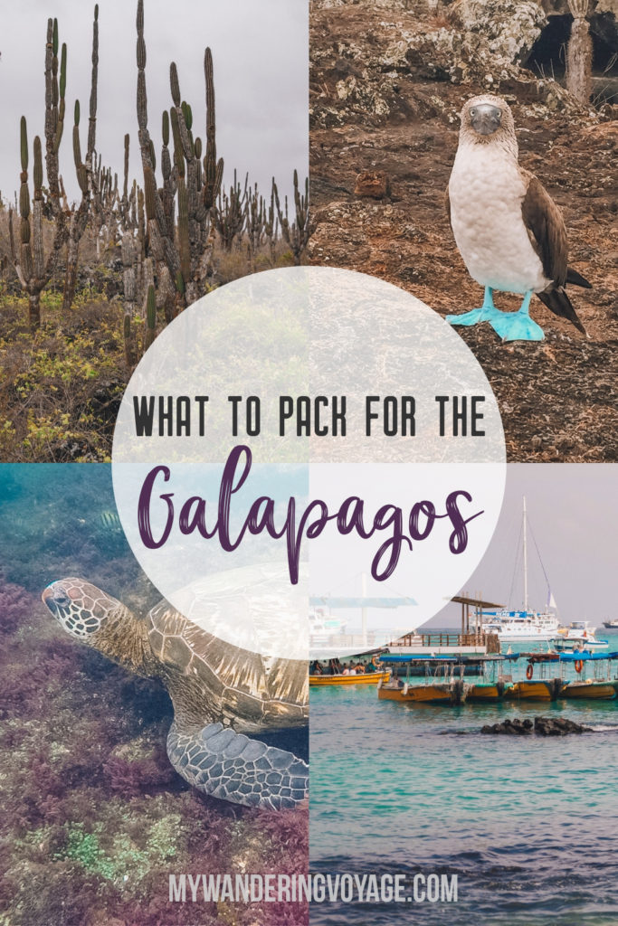 Bring this, not that: What to pack for the Galapagos Islands | My Wandering  Voyage