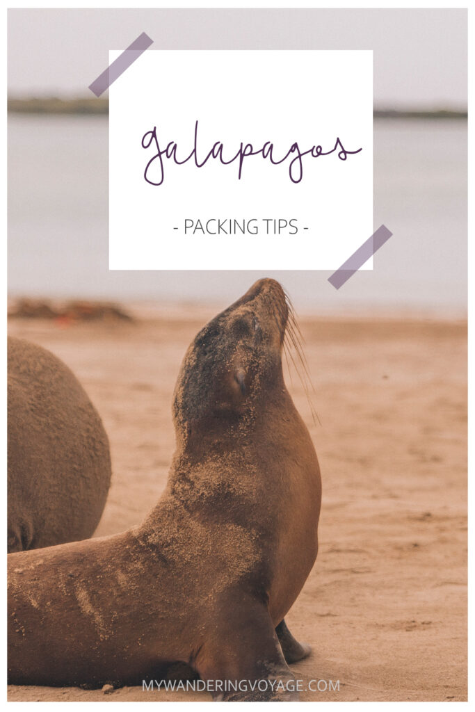 What to pack for the Galapagos Islands. Find out what to bring, what to leave at home, when the best time to visit the Galapagos Islands is, and other tips in this Galapagos packing list. | My Wandering Voyage travel blog #travel #galapagos #galapagosislands #packinglist