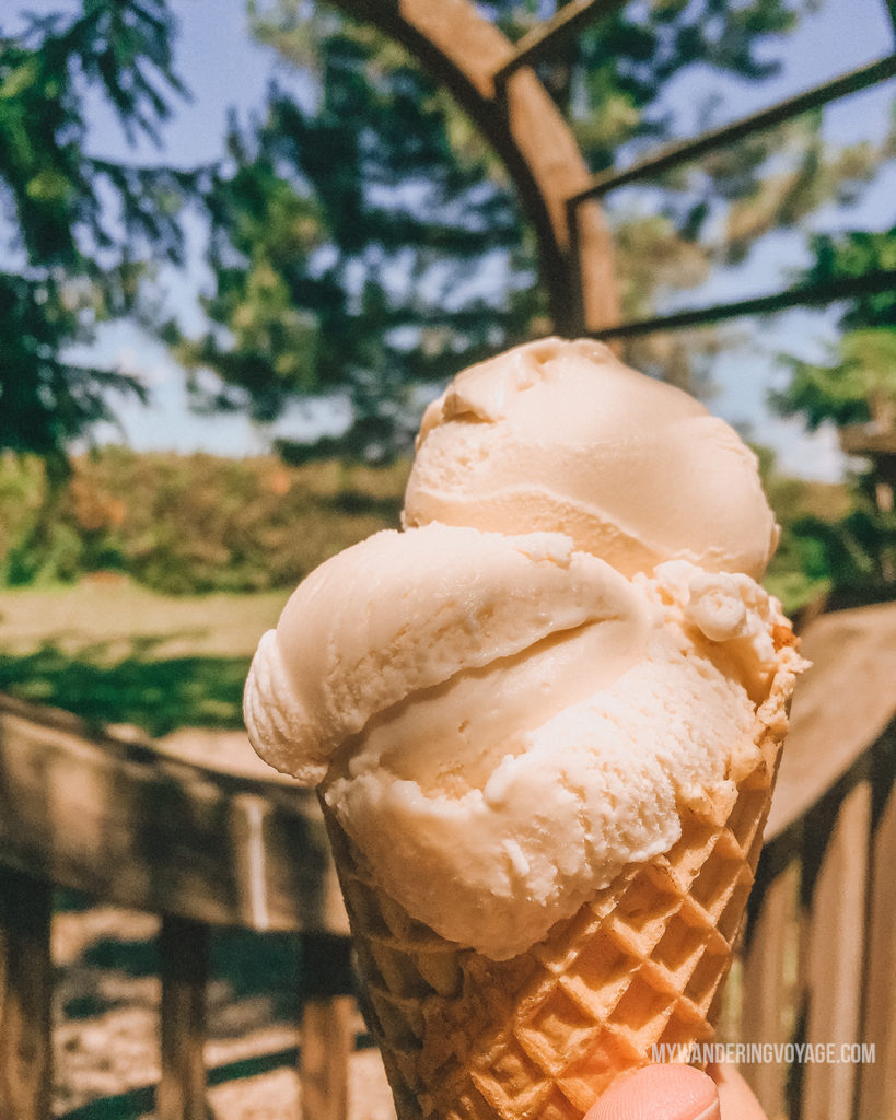 Lavender Ice cream, Mapleton's Organic Ice cream | Are you an explorer? A foodie? Or how about a beach bum? There’s something for everyone in this list of fantastic day trips from Toronto | My Wandering Voyage travel blog #toronto #ontario #canada #ontariotravel #travel