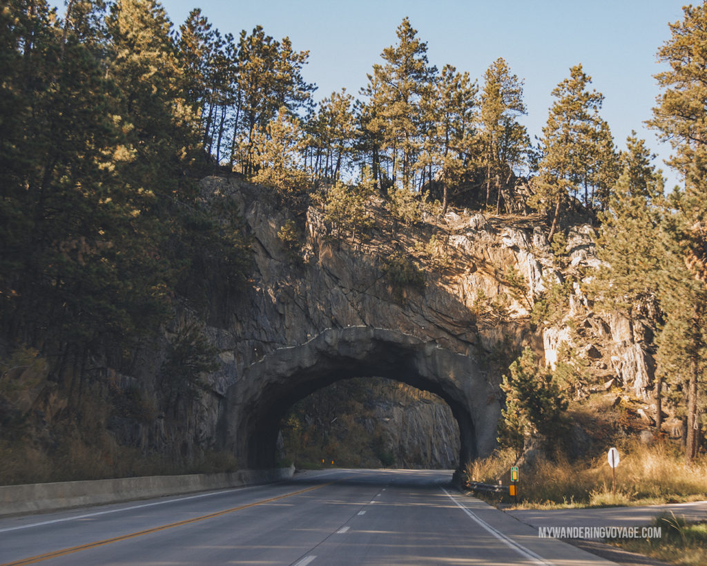 Tunnel over the road | When road trip season hits, don’t be caught unprepared. Make sure you have everything you need with this road trip packing list for a successful and enjoyable trip | My Wandering Voyage travel blog #travel #roadtrip #packing #USA #Canada
