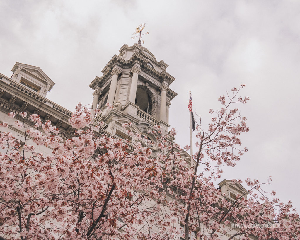 City Hall in Bloom Portland, Maine | Grab your best gal pals or significant other for the ultimate weekend getaway in Portland, Maine. Find where to stay, what to eat and things to do in this guide to Portland, Maine. | My Wandering Voyage travel blog #Portland #Maine #USA #travel
