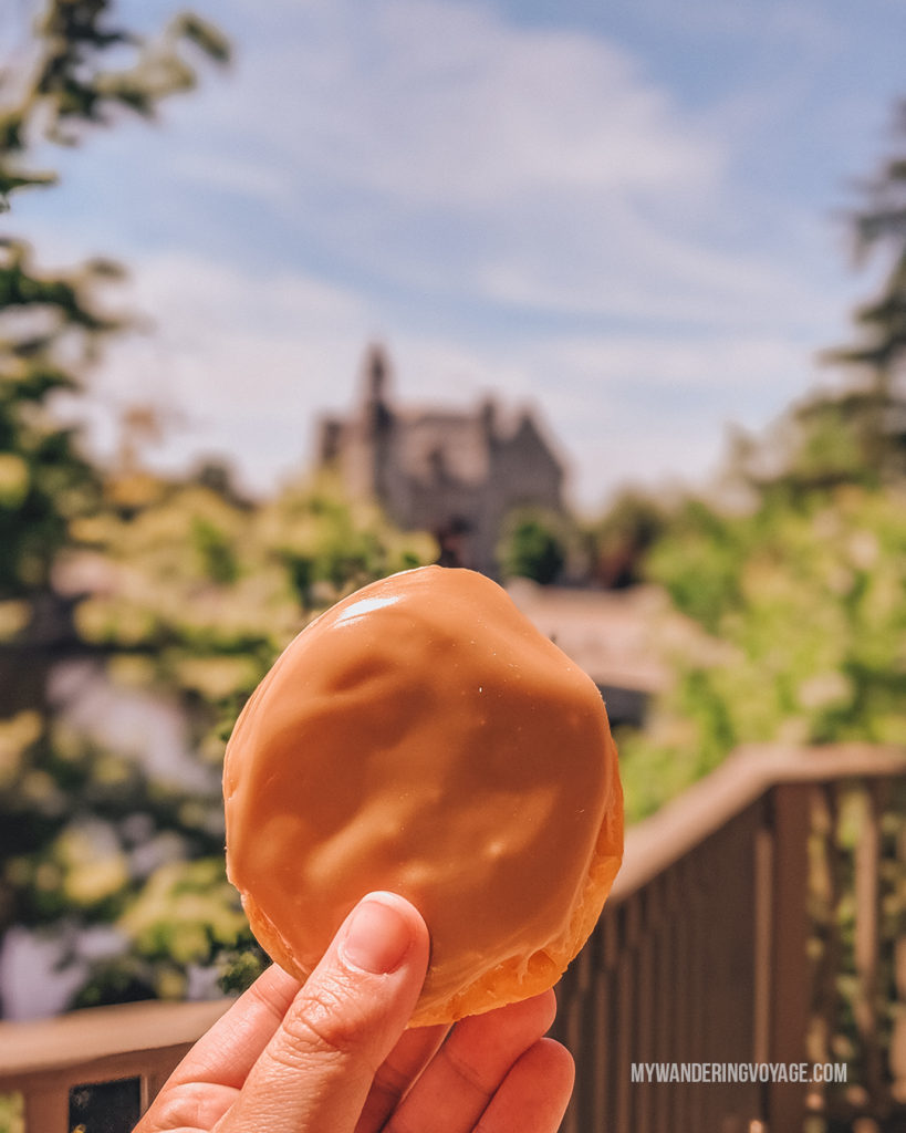 Low fat doughnut in front of Old Town Hall, Almonte, Ontario