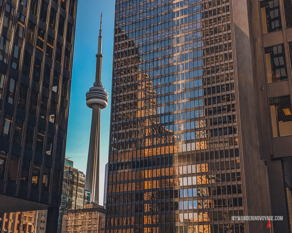 CN tower framed between buildings