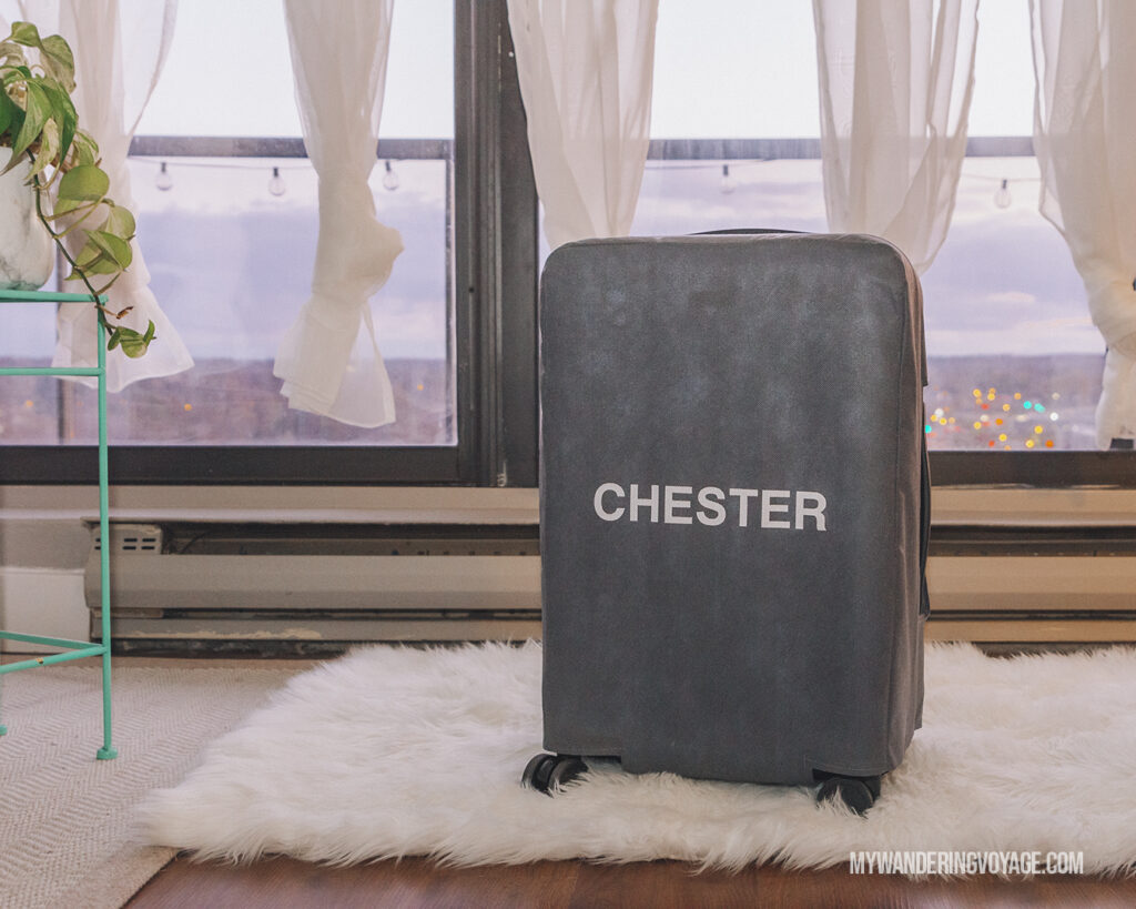 CHESTER suitcase with packaging | CHESTER luggage review for best carry on luggage | My Wandering Voyage Travel Blog