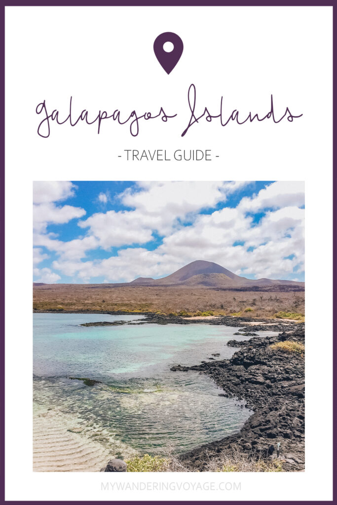 A trip to the Galapagos Islands will be unforgettable, and with these Galapagos Islands travel tips, you’ll be sure to have a worry-free trip from start to finish. | My Wandering Voyage travel blog #galapagos #galapagosislands #travel #traveltips #Ecuador #southamerica