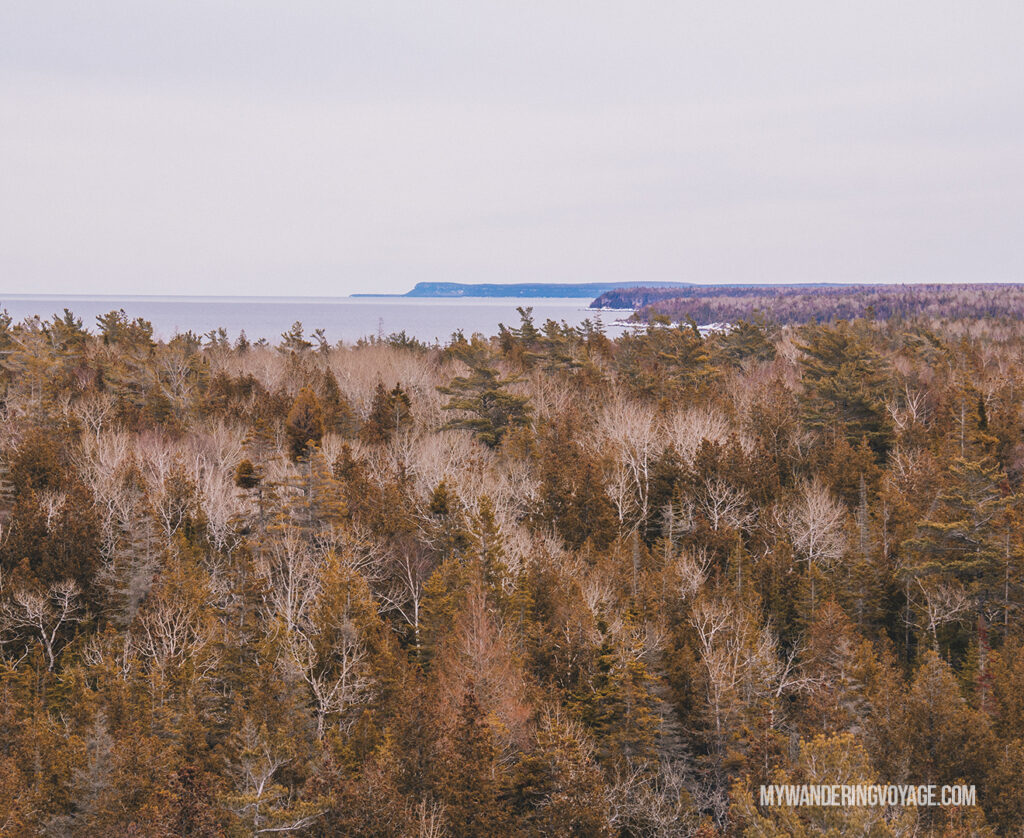 View of Bruce Peninsula National Park | Hiking the Bruce Trail: 14 side trails to explore | My Wandering Voyage travel blog