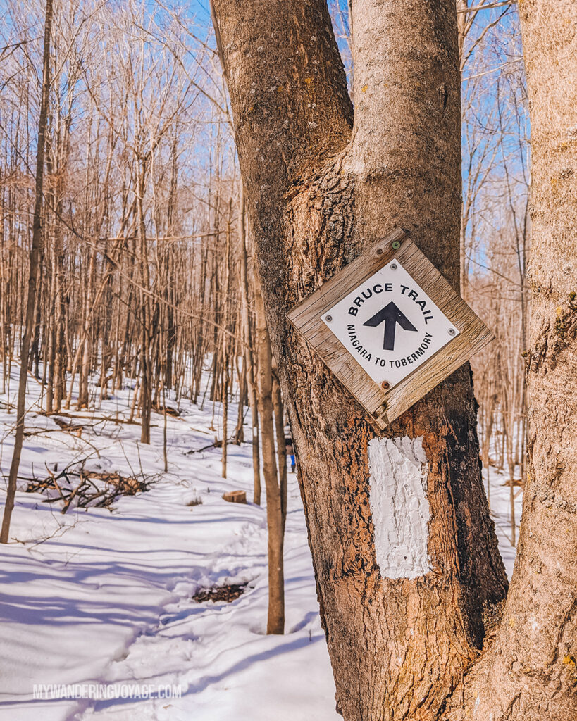 Bruce Trial white blaze | Hiking the Bruce Trail: 14 side trails to explore | My Wandering Voyage travel blog