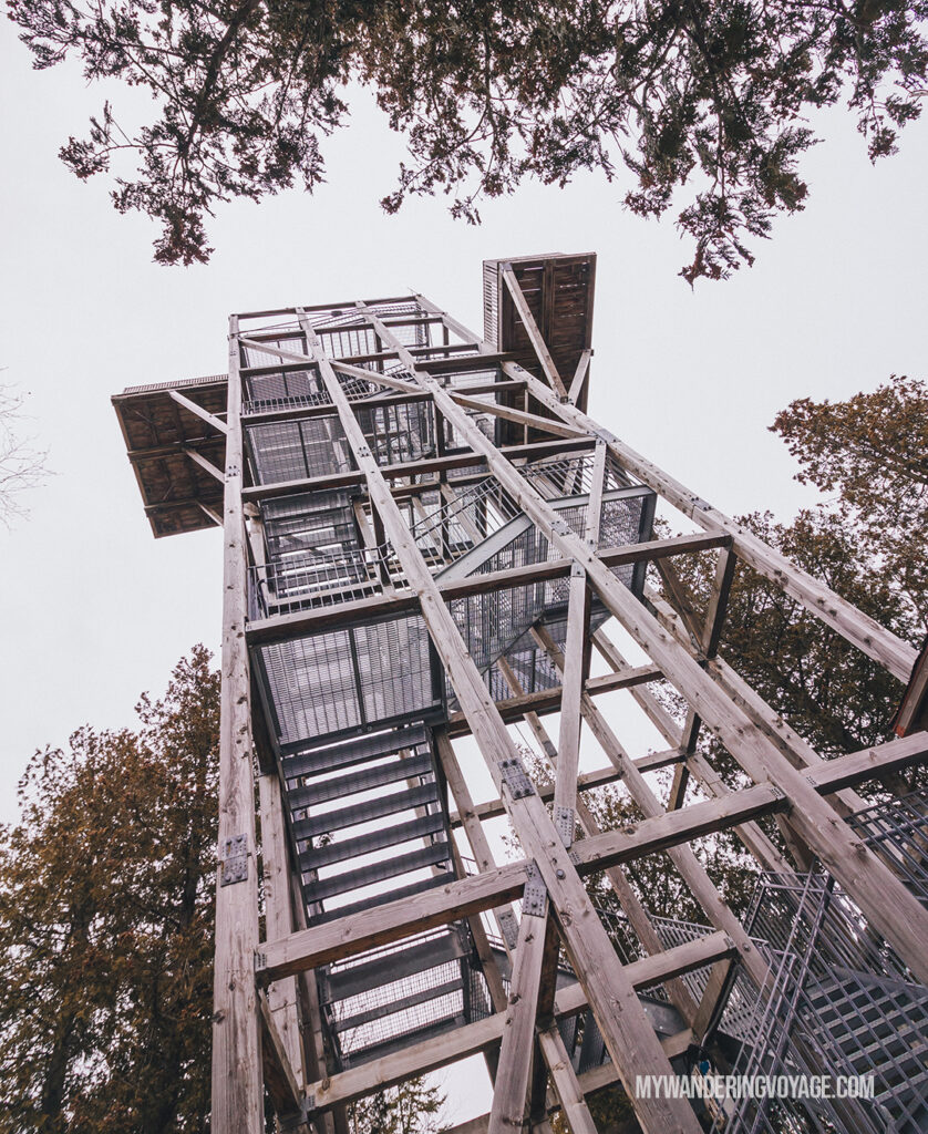 Bruce Peninsula lookout tower | 25 best scenic lookouts in Ontario | My Wandering Voyage travel blog