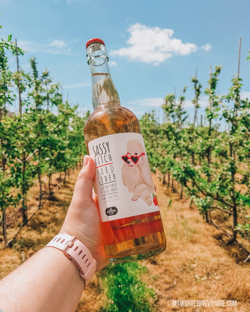 Delicious raspberry cider from Hounds of Erie | Discover Ontario’s Garden: Relaxing things to do in Norfolk County | My Wandering Voyage travel blog