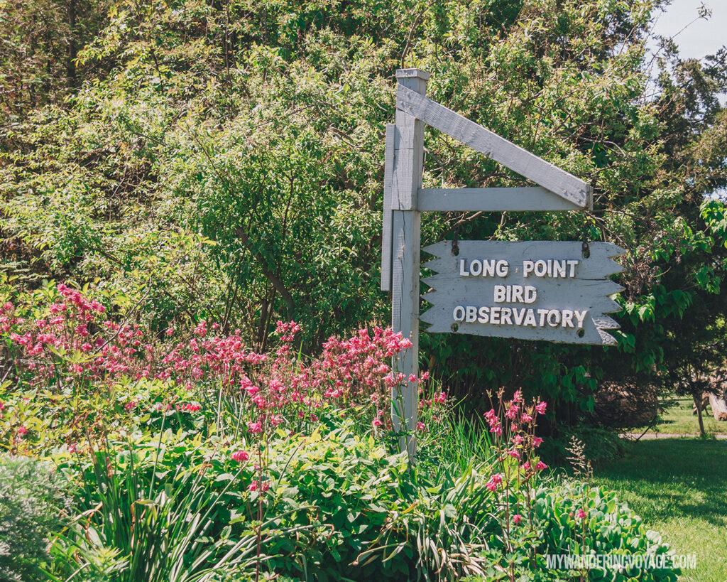 Long Point Bird Observatory | Discover Ontario’s Garden: Relaxing things to do in Norfolk County | My Wandering Voyage travel blog