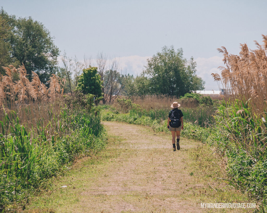Hiking in Norfolk County | Discover Ontario’s Garden: Relaxing things to do in Norfolk County | My Wandering Voyage travel blog