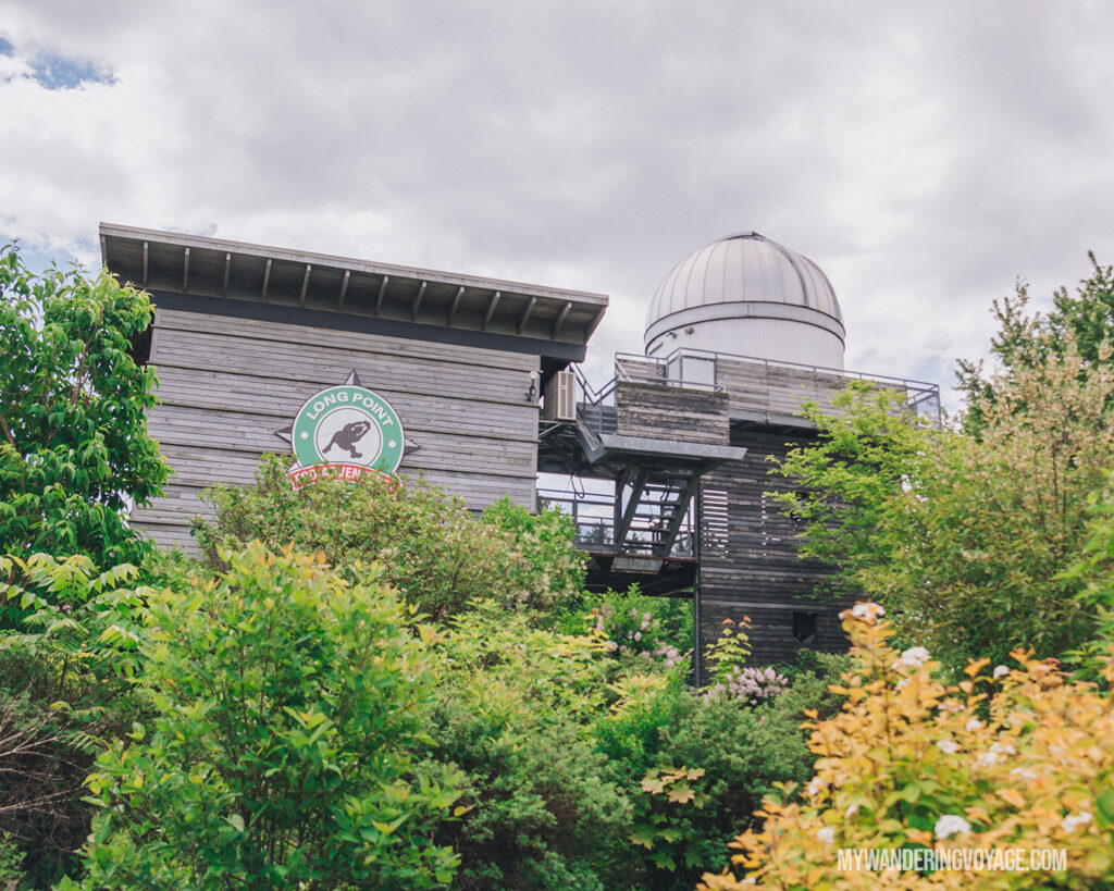 Long Point Eco Adventures observatory | Discover Ontario’s Garden: Relaxing things to do in Norfolk County | My Wandering Voyage travel blog