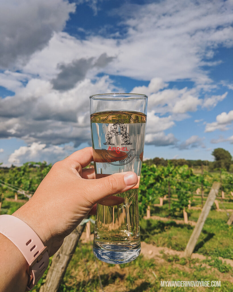 Ardiel Cider at Georgian Hills Vineyard | Ontario Cider: Take a self-guided Georgian Bay cider tour | My Wandering Voyage travel blog #Ontario #Cider #GeorgianBay #daytrip