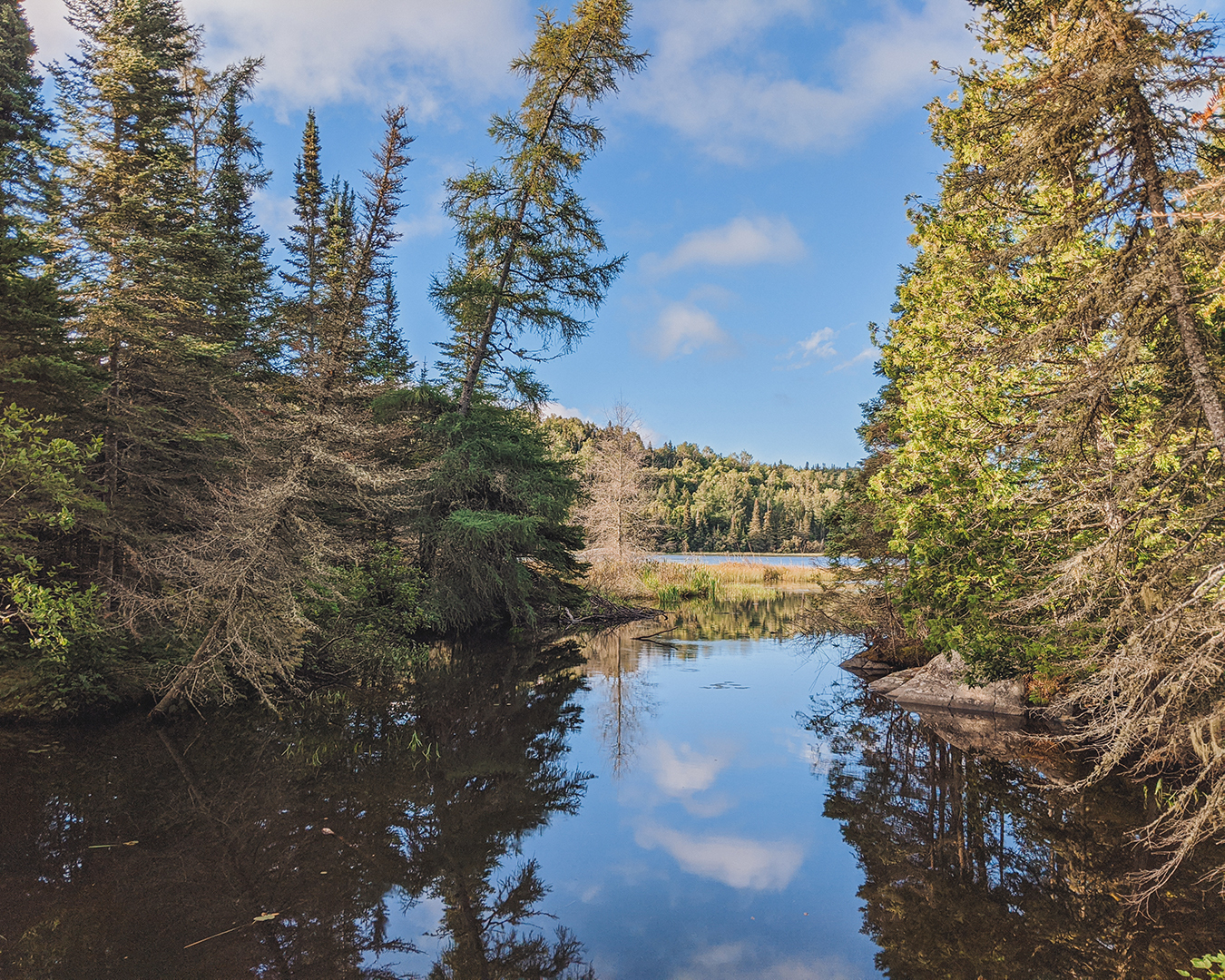 Everything You Need To Know About Pukaskwa National Park Hiking