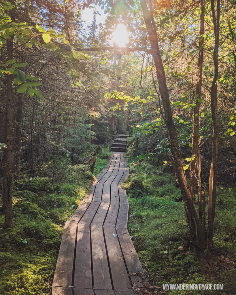 Coastal Hiking Trail at Pukaskwa National Park | The Ultimate Guide to National Parks in Ontario | My Wandering Voyage travel blog #travel #Ontario #Canada #BrucePeninsula #ThousandIslands #camping