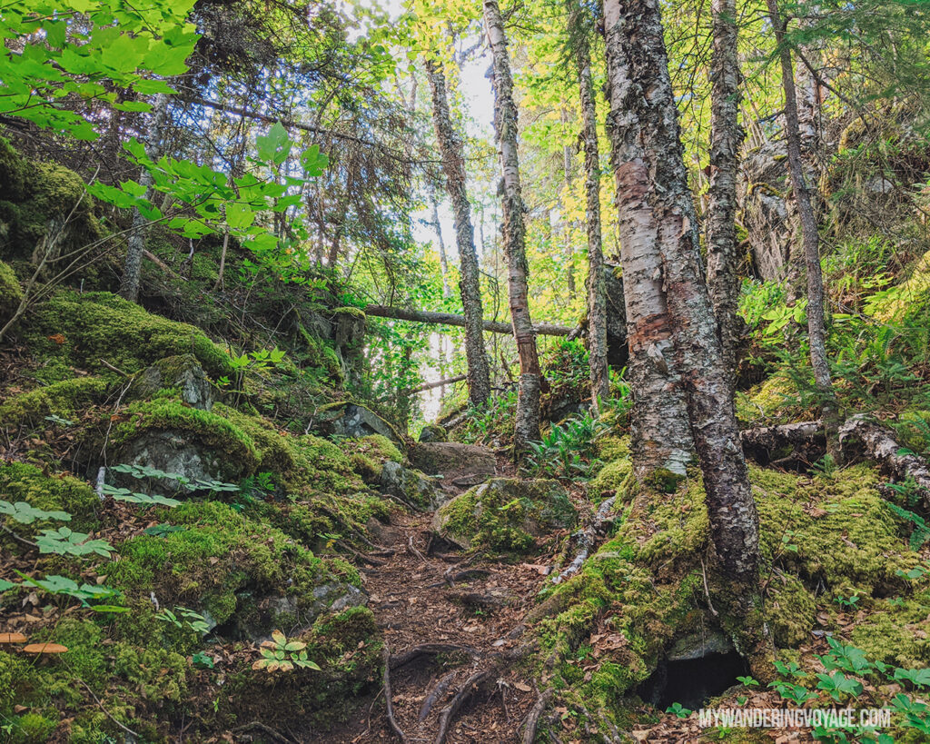 Coastal Hiking Trail at Pukaskwa National Park | The Ultimate Guide to National Parks in Ontario | My Wandering Voyage travel blog #travel #Ontario #Canada #BrucePeninsula #ThousandIslands #camping