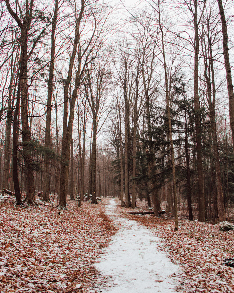 Crawford Lake Conservation Area | Stellar places for snowshoeing in Ontario | My Wandering Voyage travel blog #travel #winterexercise #snowshoeing #Ontario #Canada
