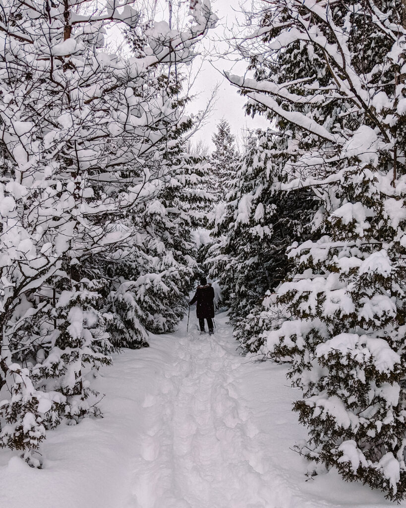 Snowshoeing in the Backyard | Stellar places for snowshoeing in Ontario | My Wandering Voyage travel blog #travel #winterexercise #snowshoeing #Ontario #Canada