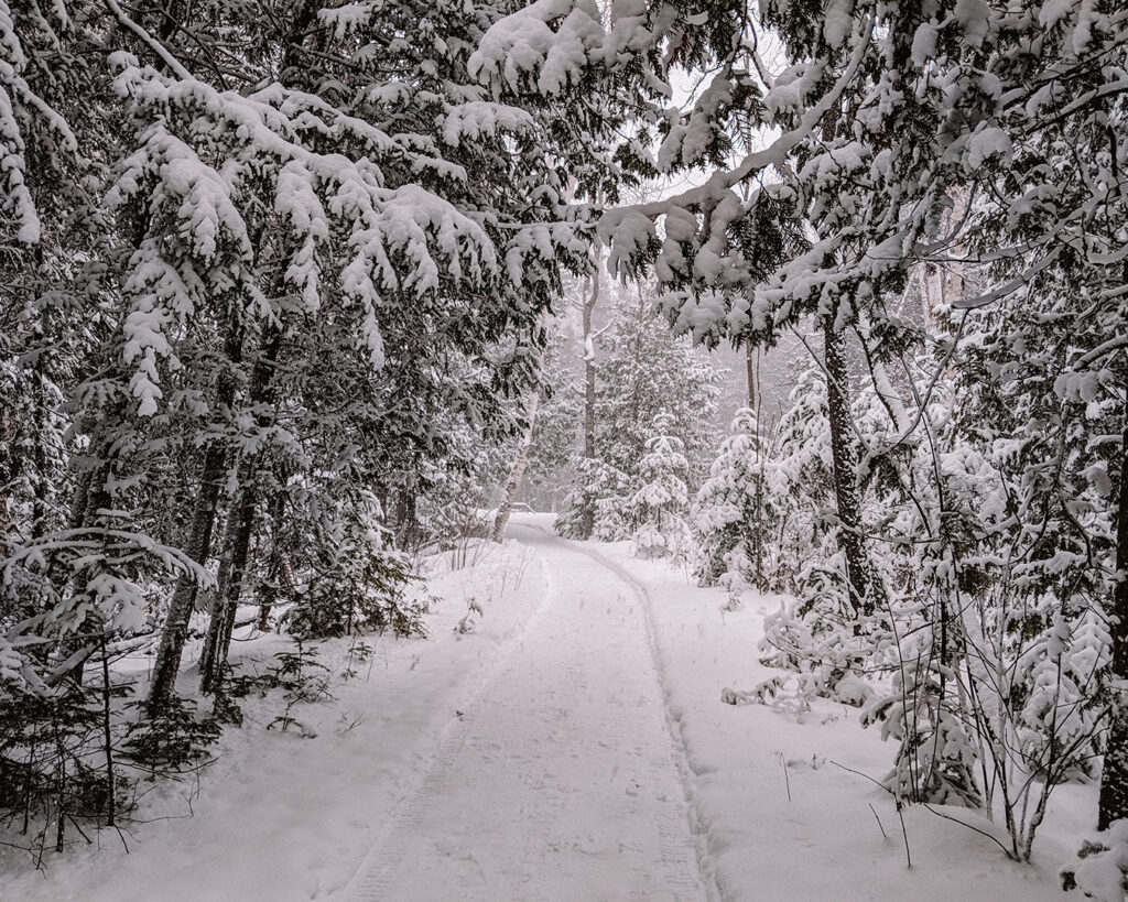 MacGregor Point Provincial Park | Stellar places for snowshoeing in Ontario | My Wandering Voyage travel blog #travel #winterexercise #snowshoeing #Ontario #Canada