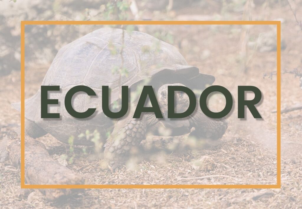 Best things to do in Ecuador | Ecuador Destinations Graphic