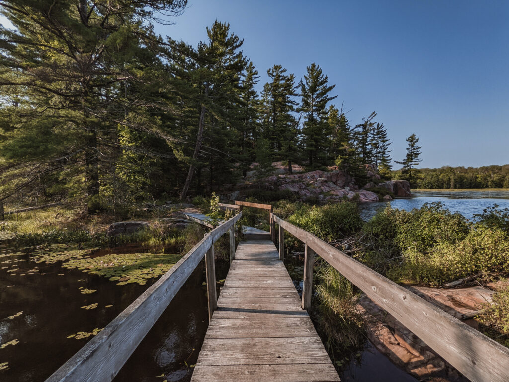 cranberry bog trail | Best Hikes in Ontario | My Wandering Voyage travel blog