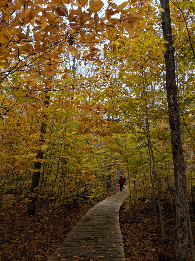 lookout point trail killbear | Best Hikes in Ontario | My Wandering Voyage travel blog