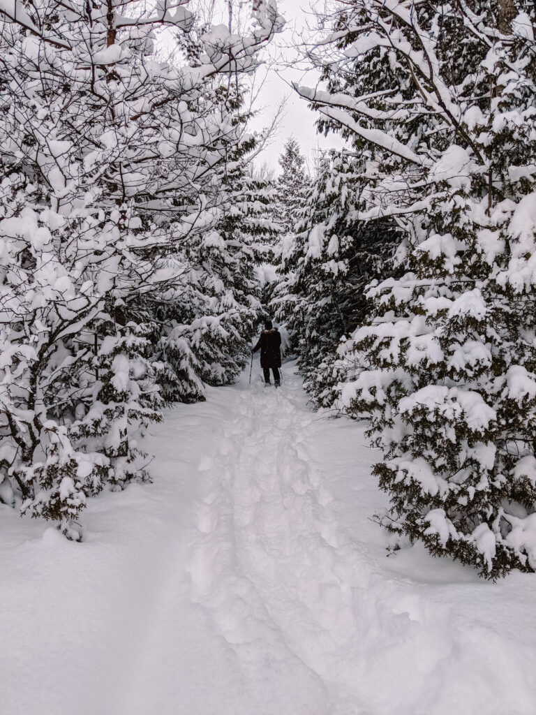 snowshoeing through the forest Best Ontario Parks to visit in the Winter | My Wandering Voyage travel blog | #Ontario #WinterTravel #Canada #Travel