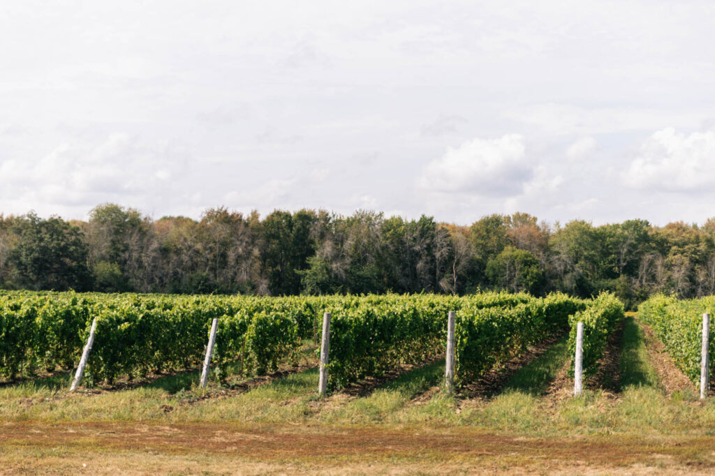 Prince Edward County wineries Take a long weekend to visit one of Ontario’s premier destinations. Here are the best things to do in Prince Edward County.