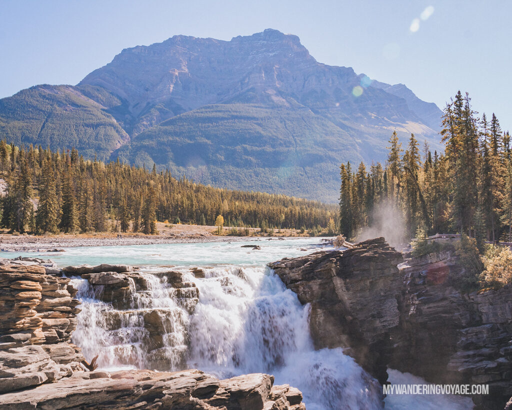 Athabasca Falls | Top things to see in Jasper and Banff | My Wandering Voyage