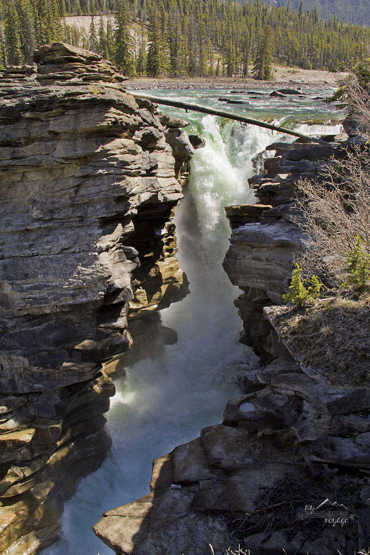 Athabasca Falls, Alberta - Fire and Ice: A Canadian Road Trip | My Wandering Voyage travel blog