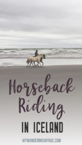 Horseback riding in Iceland is the perfect souvenir. Do your research on the place you’d like to book with. I am so happy I booked with Alhestar - Horseback Riding in Iceland, the perfect souvenir | My Wandering Voyage travel blog